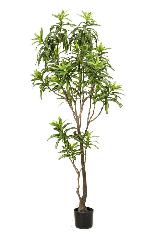 Dracaena Kunstig Plante - H190Cm, Ø17Cm