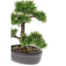 Emerald Green Artificial Cedar Bonsai 32 Cm