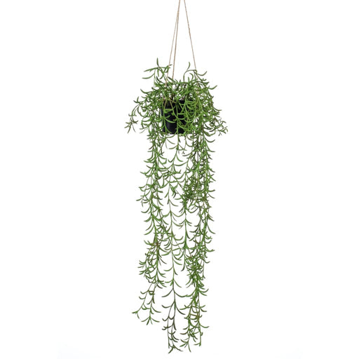 Smaragd Kunstig Senecio Hengende Busk I Gryte 70 Cm