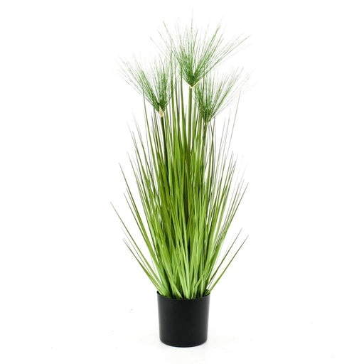 Emerald Cyperus Artificial Haspan 75 Cm I Pot