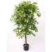 Emerald Artificial Ficus Deluxe 140 Cm I Pot