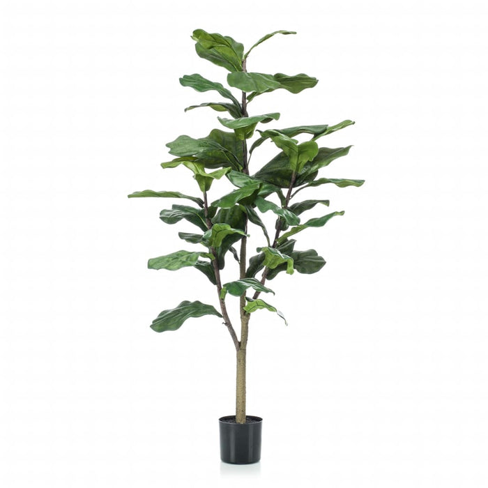 Emerald Artificial Ficus Lyrata 120 Cm