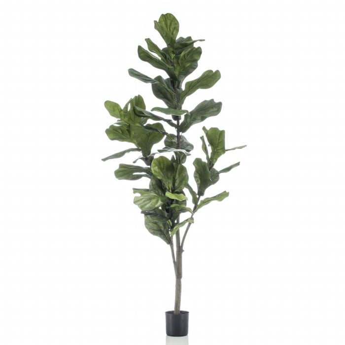 Emerald Artificial Ficus Lyrata 160 Cm