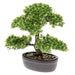 Emerald Mini Artificial Ficus Bonsai Grønn 32 Cm