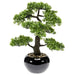 Emerald Mini Artificial Ficus Bonsai Grønn 47 Cm