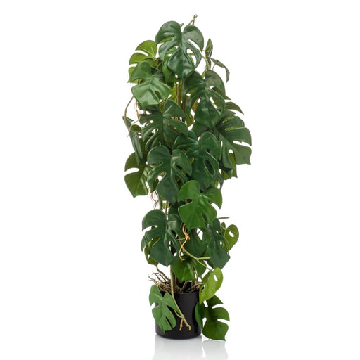 Artificial Emerald Monstera 75 Cm I Pot