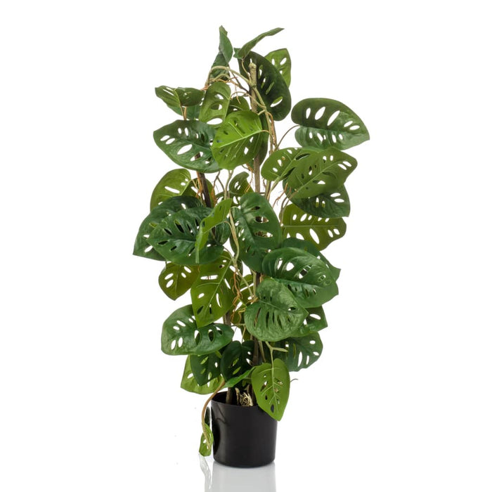 Emerald Artificial Monstera Monkey 75 Cm I Pot