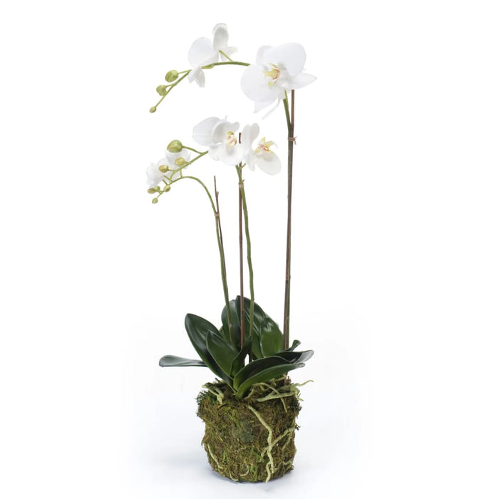 Emerald Artificial Phalaenopsis Orchid 70 Cm Hvit