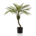 Emerald Artificial Chamaedorea Palm 85 Cm I Pot