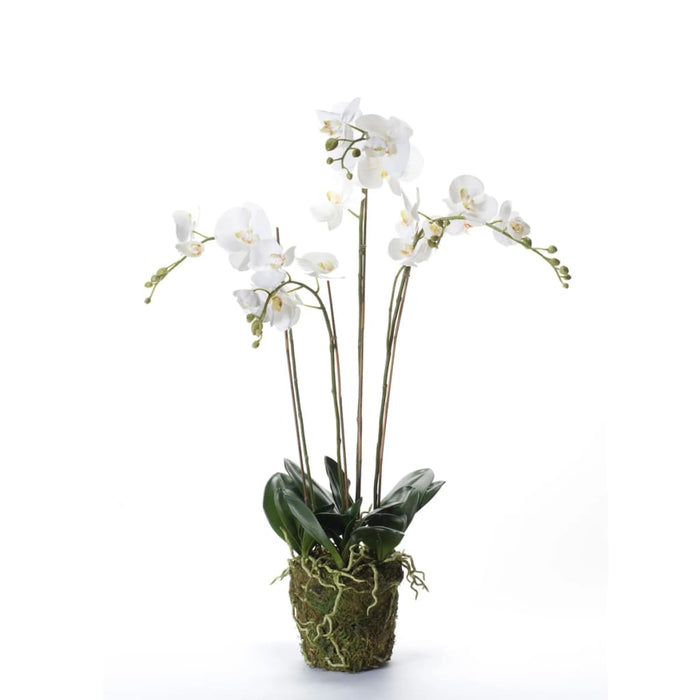 Kunstig Emerald Phalaenopsis Med Hvit Skum 90 Cm