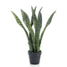 Smaragd Kunstig Plante Sansevieria 55 Cm I Potte