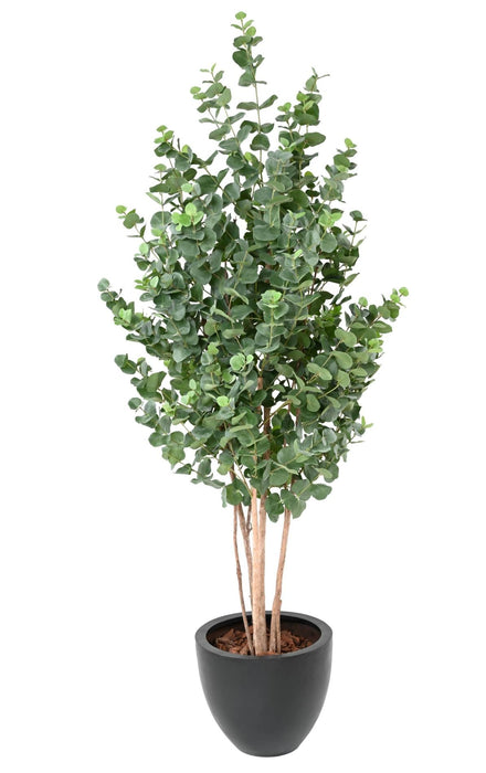 Kunstig Eucalyptus 150 Cm Innendørs Plante