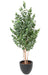 Kunstig Eucalyptus 150 Cm Innendørs Plante