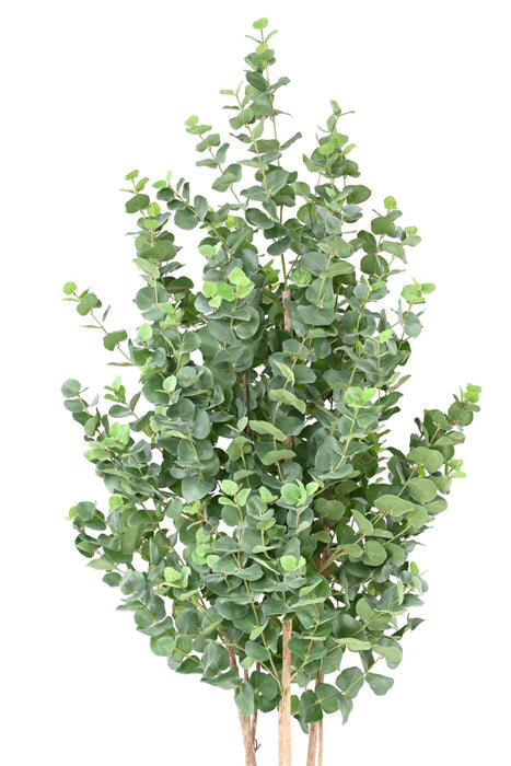 Kunstig Eucalyptus 150 Cm Innendørs Plante