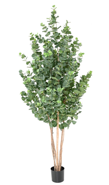 Kunstig Eucalyptus 150 Cm Innendørs Plante