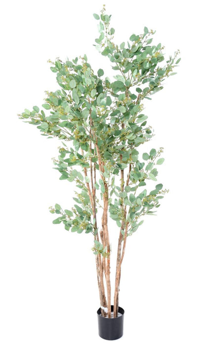 Kunstig Eucalyptus 185 Cm Innendørs Dekorative Plante