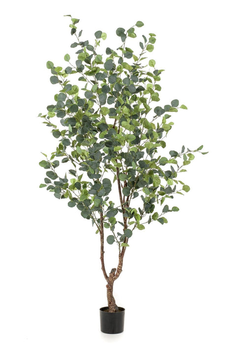 Eucalyptus Kunstig Plante - H180Cm, Ø17Cm