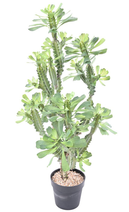 Artificial Milky Spurge H.110Cm For Innendørs