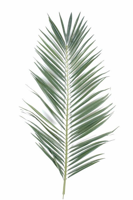 Kunstig Blad Palm Tree Majesty 105Cm Interiørdekorasjon