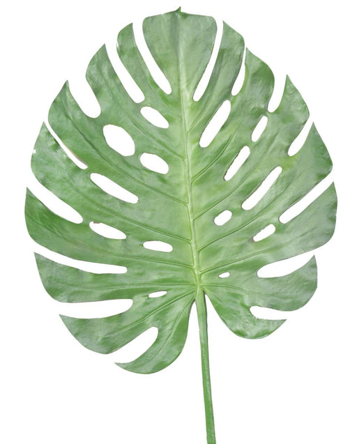 Kunstig Monstera Leaf 120Cm Interiørdekorasjon