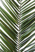 Kunstig Phoenix Canariensis Palmeblad 150 Cm