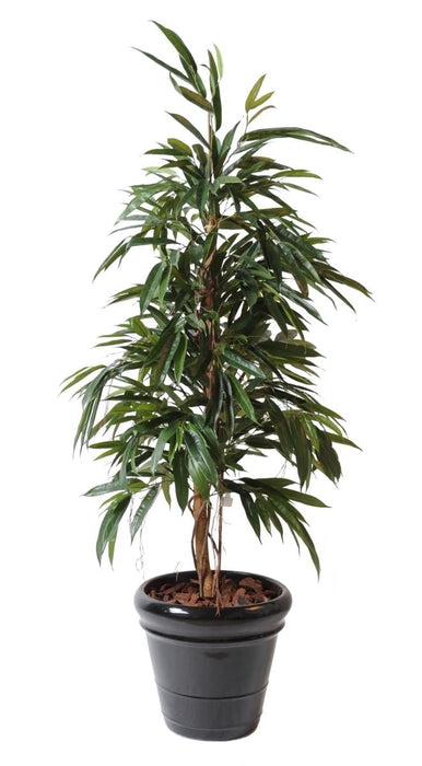 Kunstig Ficus Alii 160 Cm Grønn Innendørs Plante