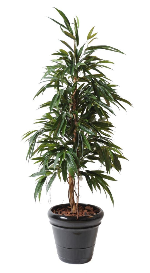 Kunstig Ficus Alii 160 Cm Grønn Innendørs Plante