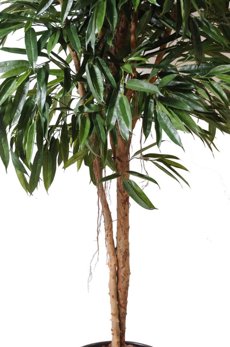 Kunstig Ficus Alii For Interiørdekorasjon 250Cm