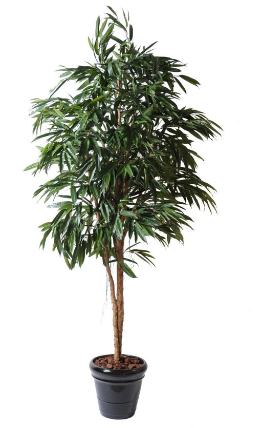 Kunstig Ficus Alii For Interiørdekorasjon 250Cm