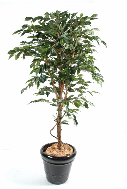 Kunstig Ficus 120 Cm Innendørs Dekorativ Plante