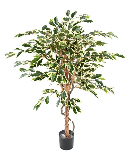 Kunstig Ficus 120 Cm Spraglet Med Naturlig Stamme