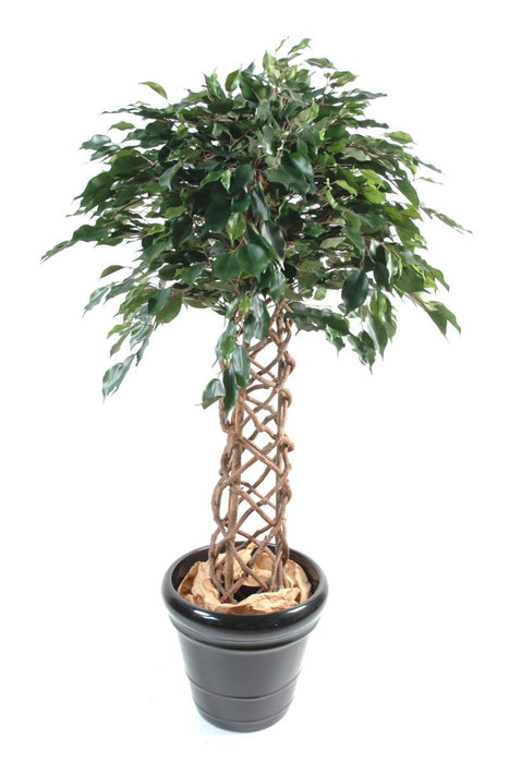 Kunstig Ficus 170 Cm Grønn Stueplante