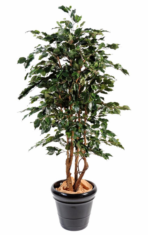 Kunstig Ficus 180 Cm Innendørs Plante Grønn