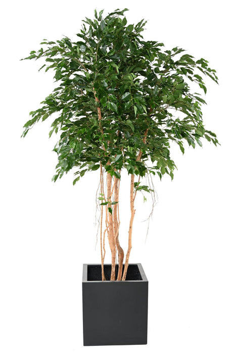 Kunstig Ficus 260 Cm Grønn Inneplante