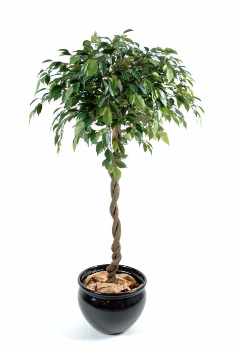 Kunstig Ficus Ball Natasja 140Cm Innendørs Plante