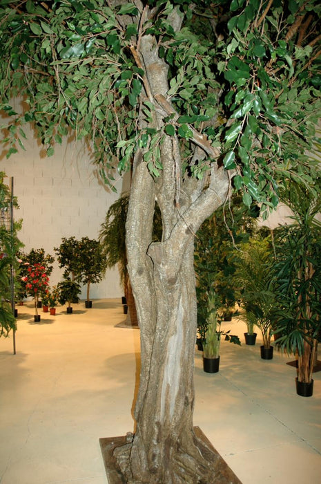 Gigantisk Kunstig Ficus For Innendørs 500 Cm