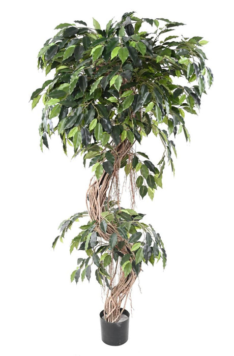 Kunstig Ficus Lianas 180 Cm Inneplante