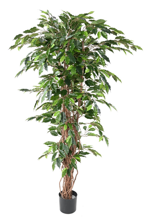 Kunstig Ficus Lianas 180 Cm Grønn Innendørs Plante