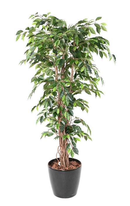 Kunstig Ficus Lianas 180 Cm Grønn Innendørs Plante