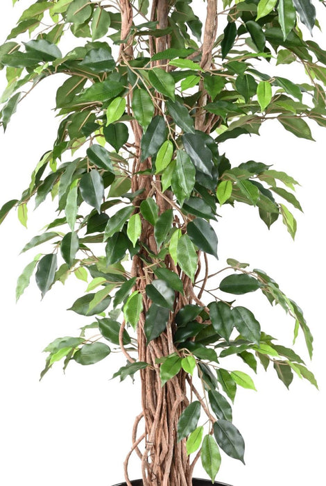 Kunstig Ficus Lianas 210 Cm Grønn Inneplante