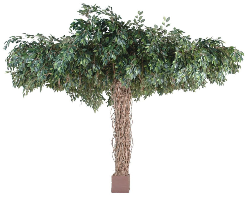 Kunstig Ficus Lianas Paraply 320 Cm Innendørs Plante