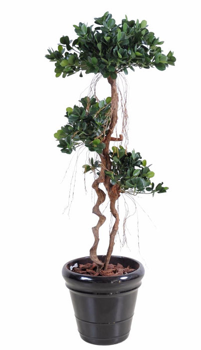 Kunstig Ficus Microcarpa 170Cm Innendørs Plante