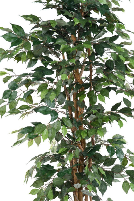 Kunstig Ficus Multi-Stems 190 Cm Grønn Plante