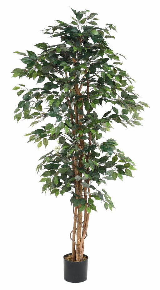 Kunstig Ficus Multi-Stems 190 Cm Grønn Plante