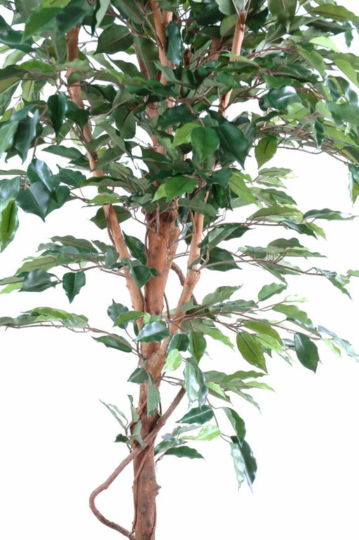 Artificial Ficus Single Trunk 210Cm Innendørs Plante