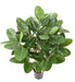 Kunstig Ficus Audrey 100 Cm I Dekorativ Potte