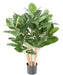 Kunstig Ficus Audrey 100 Cm I Dekorativ Potte