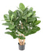 Kunstig Ficus Audrey 100 Cm I Dekorativ Potte