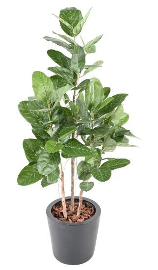 Ficus Audrey Kunstig 150 Cm Innendørs Plante