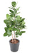 Ficus Audrey Kunstig 150 Cm Innendørs Plante